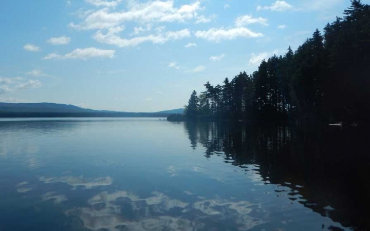 A blue sky dotted with clouds is reflected in a calm body of water. The sore is lined with trees.